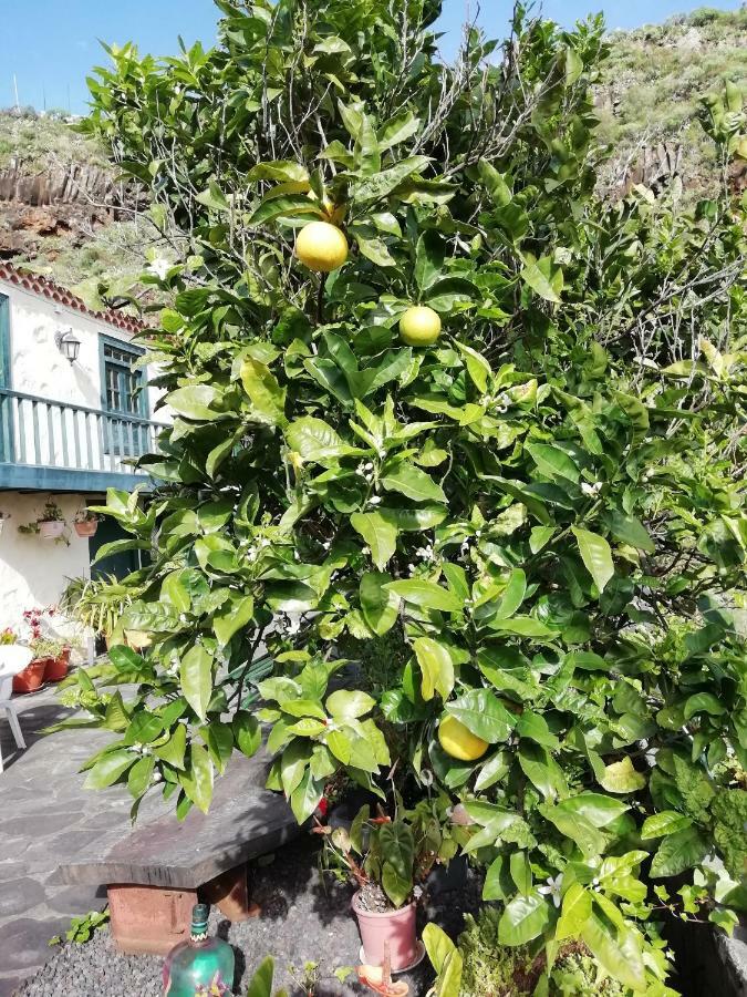 Große Finca 19Jh, Pool, Terrasse, nahe Santa Cruz Santa Cruz de la Palma  Esterno foto